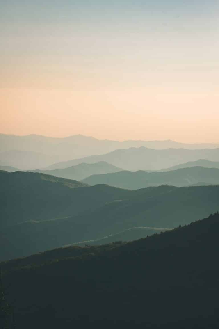 Arkansas real estate overviews, including houses, new homes, land and state housing info and USAHouses.com market insights.