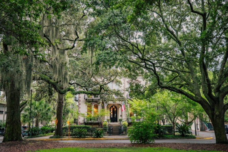 green trees near white concrete building during daytime Savannah Georgia homes